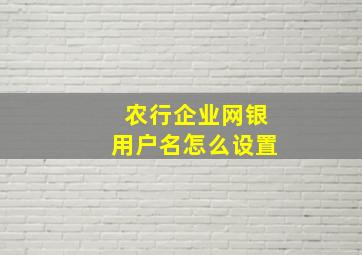 农行企业网银用户名怎么设置