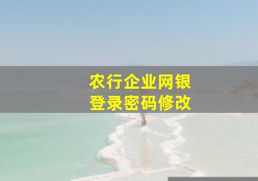 农行企业网银登录密码修改