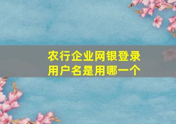 农行企业网银登录用户名是用哪一个