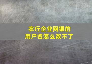 农行企业网银的用户名怎么改不了