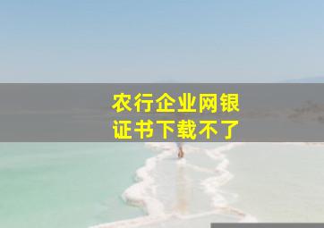 农行企业网银证书下载不了