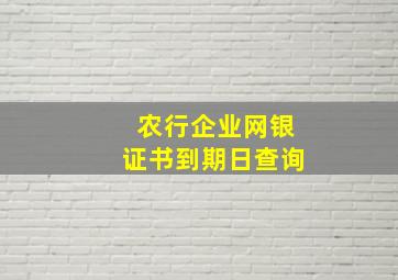 农行企业网银证书到期日查询