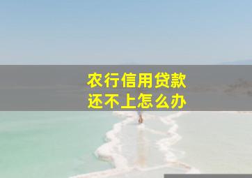 农行信用贷款还不上怎么办