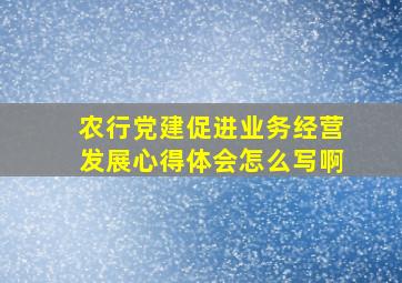 农行党建促进业务经营发展心得体会怎么写啊