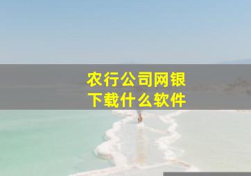 农行公司网银下载什么软件