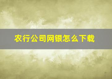 农行公司网银怎么下载