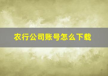 农行公司账号怎么下载