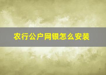 农行公户网银怎么安装