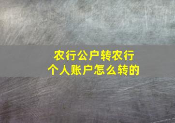 农行公户转农行个人账户怎么转的