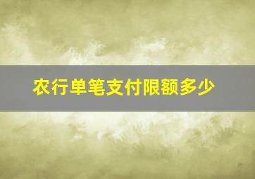 农行单笔支付限额多少