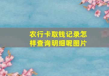 农行卡取钱记录怎样查询明细呢图片