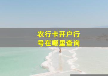 农行卡开户行号在哪里查询