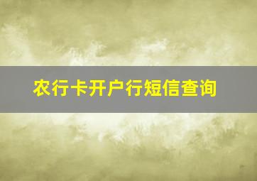 农行卡开户行短信查询