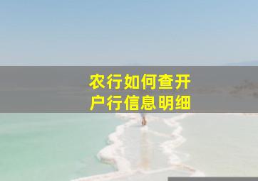 农行如何查开户行信息明细