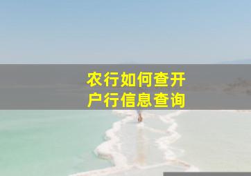 农行如何查开户行信息查询