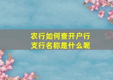 农行如何查开户行支行名称是什么呢