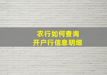 农行如何查询开户行信息明细