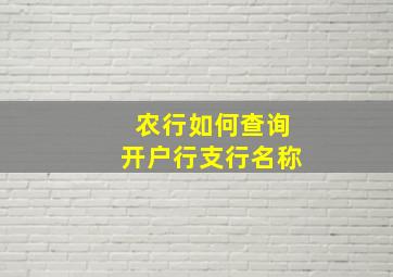 农行如何查询开户行支行名称