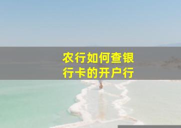 农行如何查银行卡的开户行