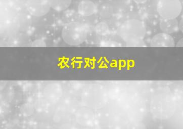 农行对公app