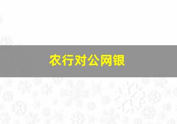 农行对公网银