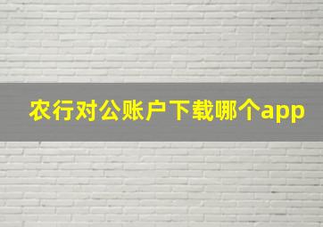 农行对公账户下载哪个app