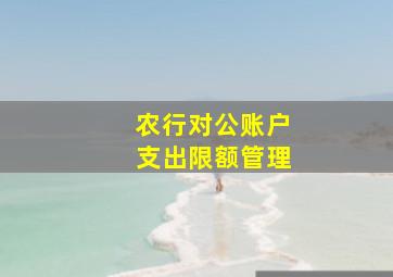 农行对公账户支出限额管理