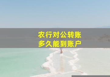 农行对公转账多久能到账户