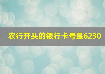 农行开头的银行卡号是6230