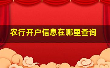 农行开户信息在哪里查询