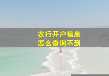 农行开户信息怎么查询不到