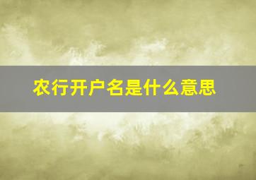 农行开户名是什么意思