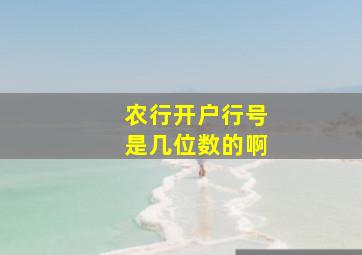 农行开户行号是几位数的啊