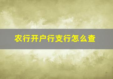 农行开户行支行怎么查