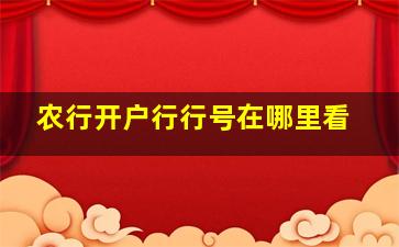 农行开户行行号在哪里看