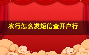 农行怎么发短信查开户行