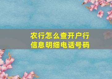 农行怎么查开户行信息明细电话号码