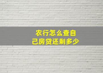 农行怎么查自己房贷还剩多少