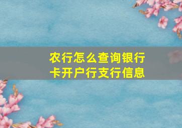 农行怎么查询银行卡开户行支行信息