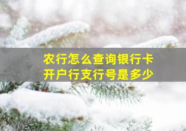 农行怎么查询银行卡开户行支行号是多少