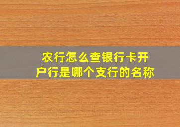 农行怎么查银行卡开户行是哪个支行的名称