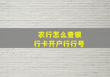 农行怎么查银行卡开户行行号