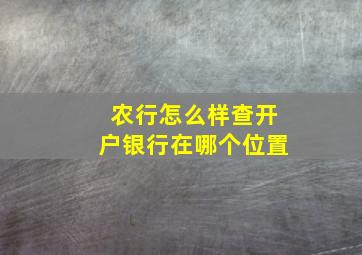 农行怎么样查开户银行在哪个位置