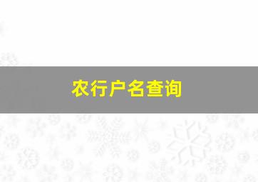 农行户名查询