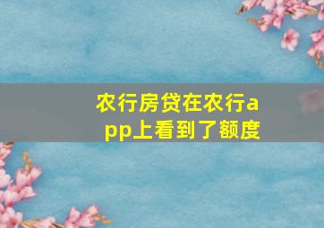 农行房贷在农行app上看到了额度