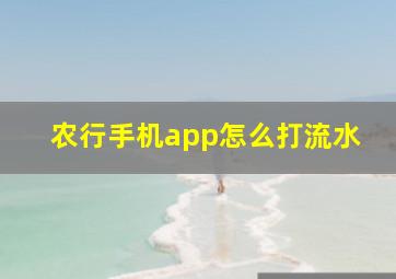 农行手机app怎么打流水