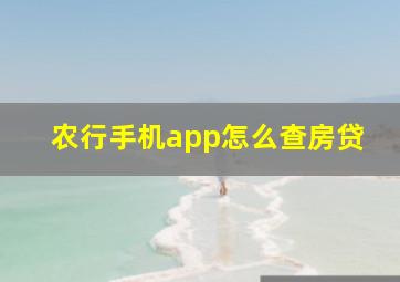 农行手机app怎么查房贷