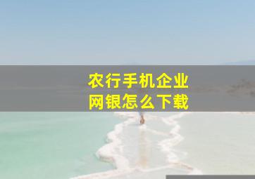 农行手机企业网银怎么下载