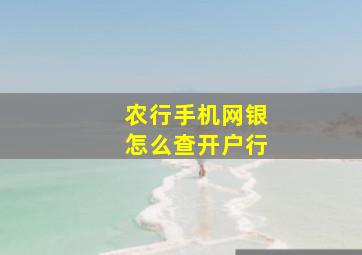 农行手机网银怎么查开户行