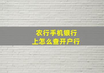 农行手机银行上怎么查开户行